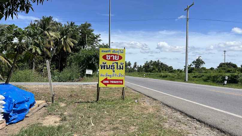 ร้านต้นไม้จ๊ะเอ๋ - 2
