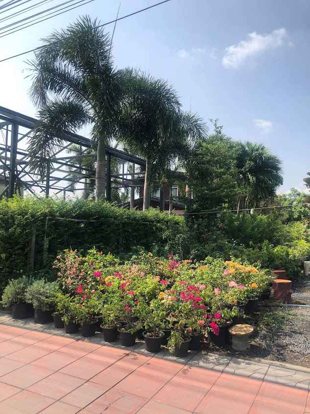 ร้านต้นไม้ชลธิชาเลียบวารี - 2
