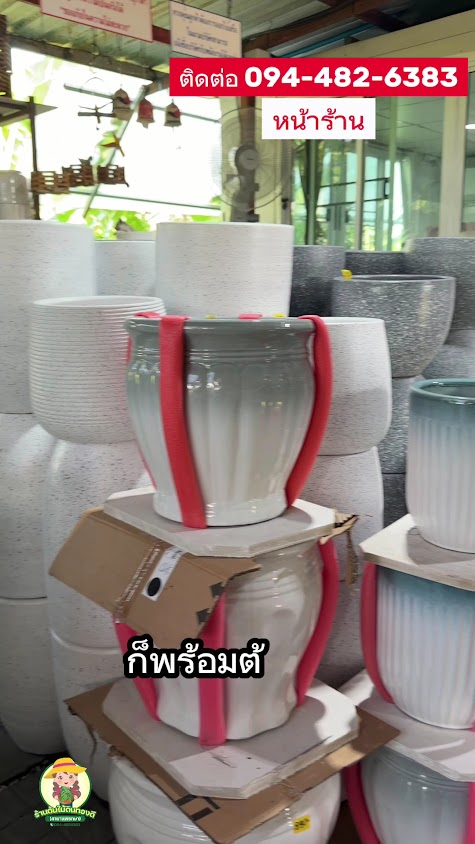 ร้านต้นไม้ดินทองดีการเกษตร สาขาแพรกษา - 3