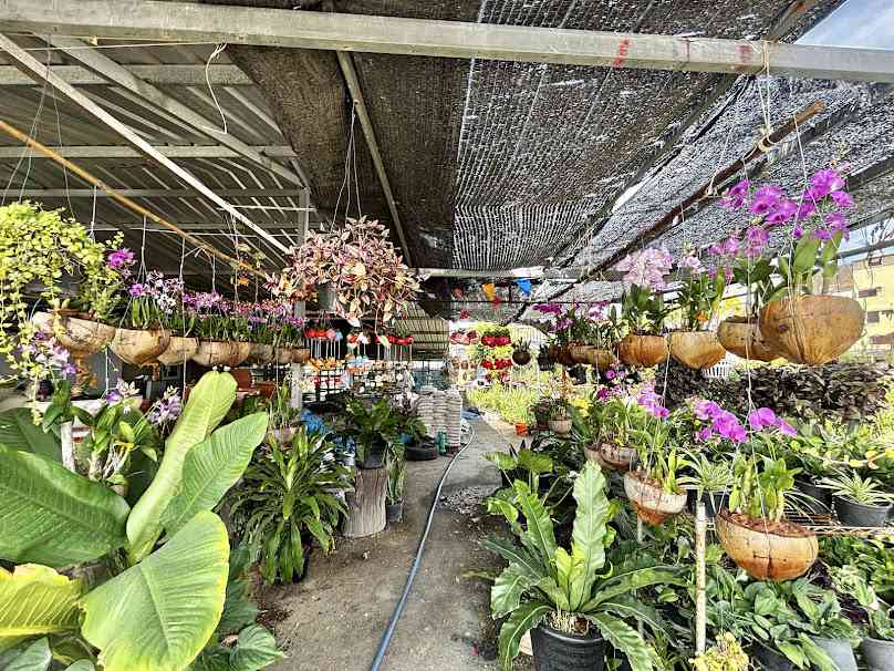 ร้านต้นไม้ดินทองดีการเกษตร สาขา 1 - 3
