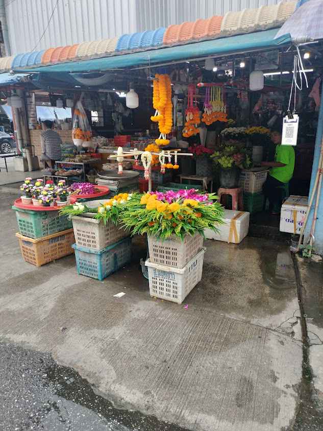 ร้านต้นไม้ตลาดเรดซิตี้ - 4