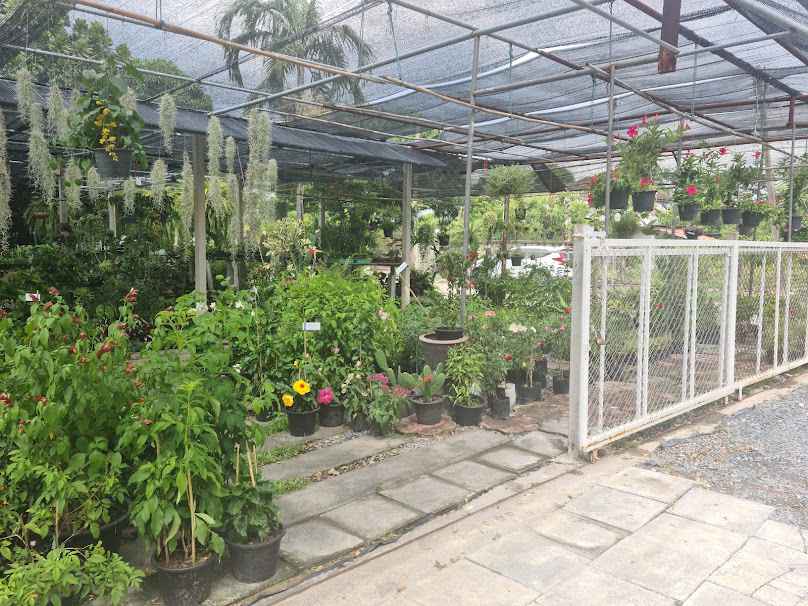 ร้านต้นไม้ทรีออฟเลิฟ
