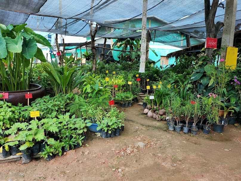 ร้านต้นไม้ทองสุข