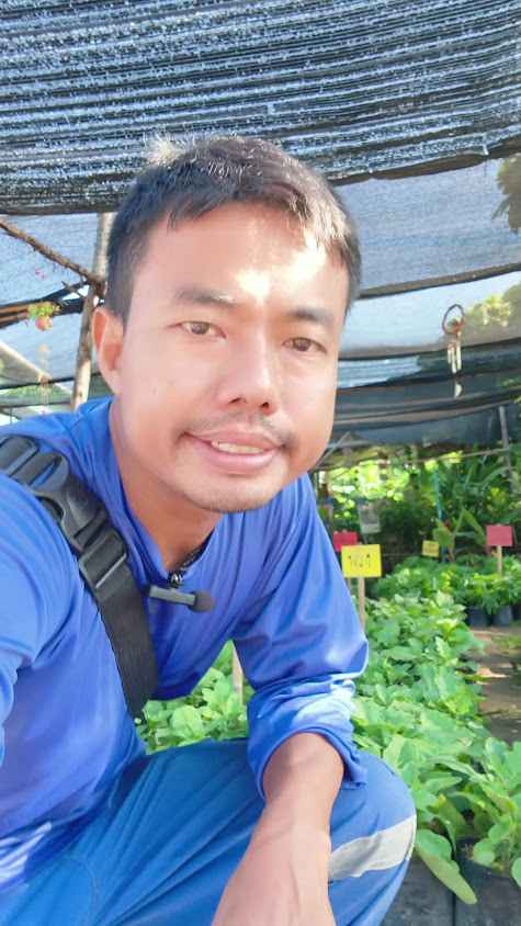 ร้านต้นไม้ทองสุข - 2