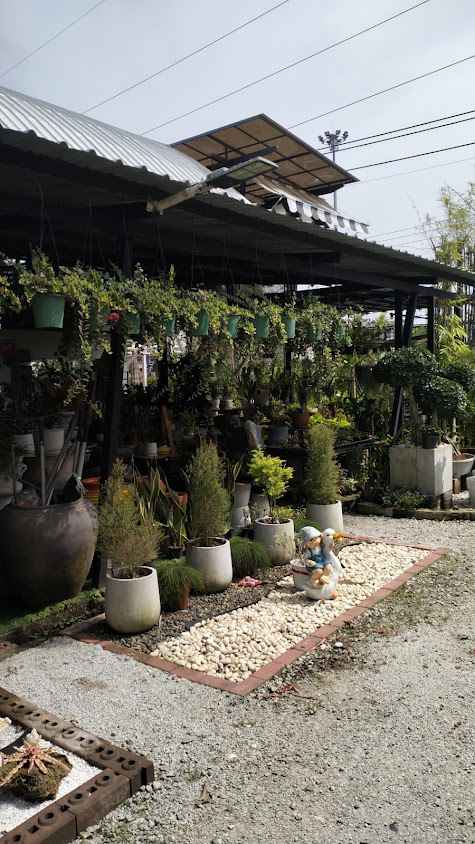 ร้านต้นไม้นราการ์เด้นท์ - 4