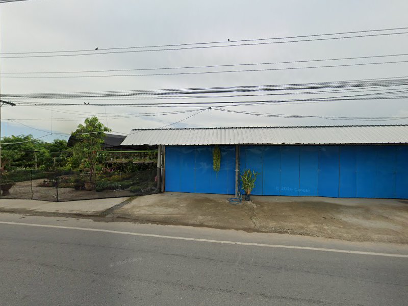 ร้านต้นไม้น้องลูกน้ำ - 3