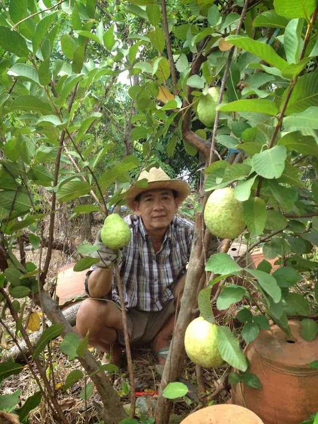 ร้านต้นไม้บางคล้า tree story 8riew - 4