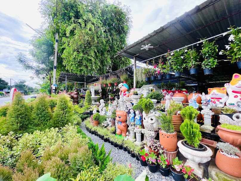 ร้านต้นไม้บ่อวิน หนองก้างปลา (สวนนิศา) - 3