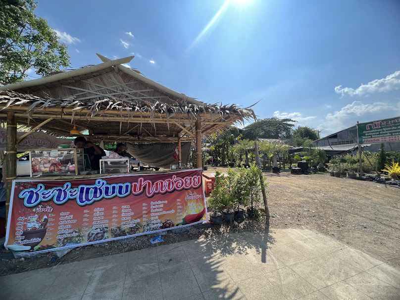 ร้านต้นไม้บ้านสวนอินวิเชียรจำหน่ายไม้มงคลทุกชนิด - 4