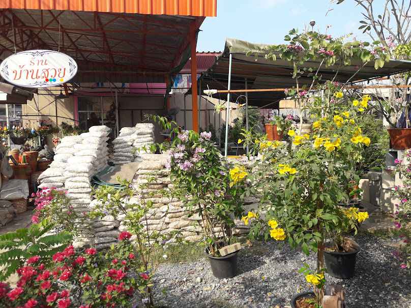 ร้านต้นไม้บ้านสวย - 2