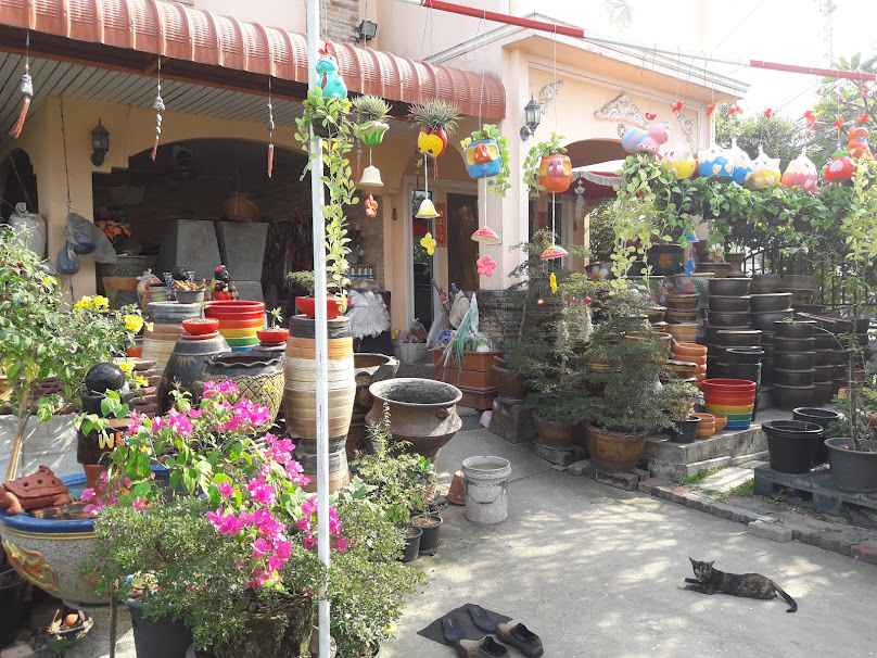 ร้านต้นไม้บ้านสวย - 4
