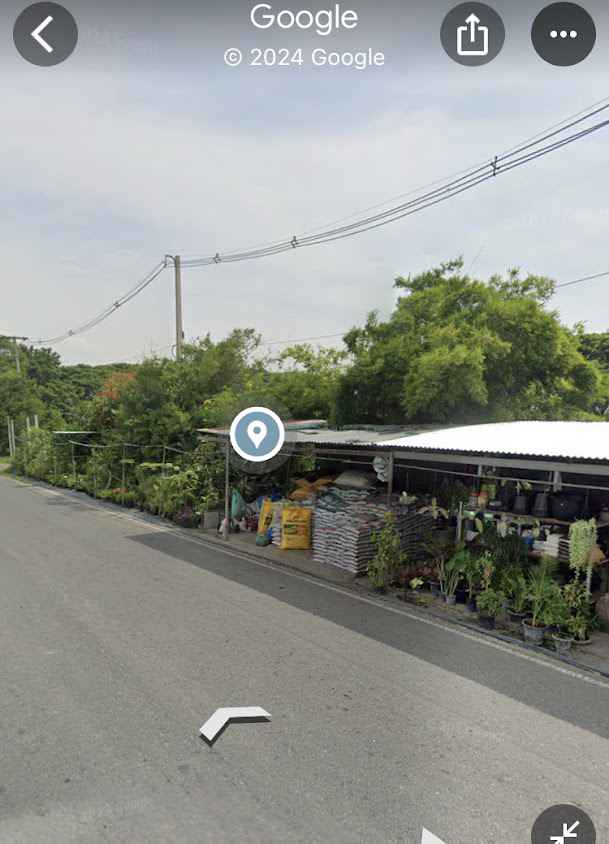ร้านต้นไม้ประตูชัย