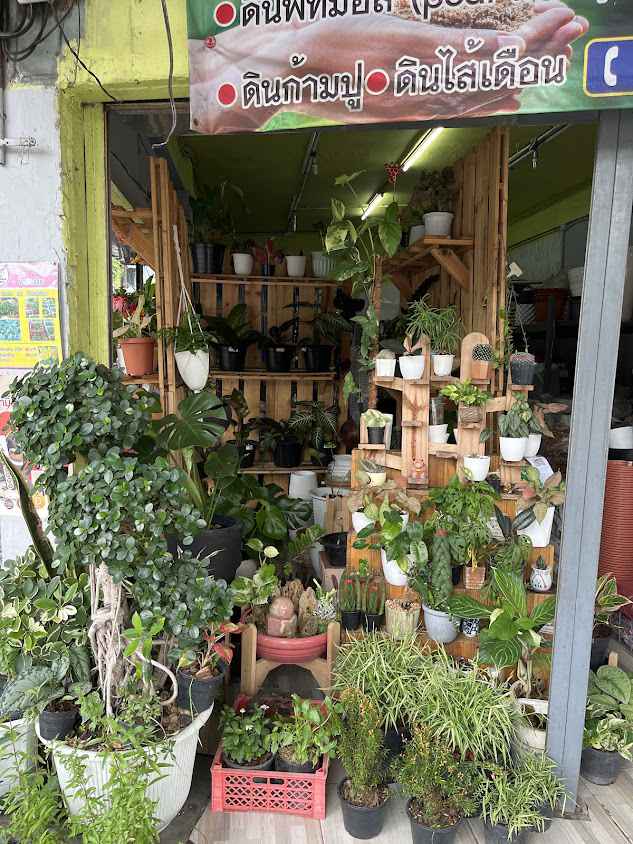 ร้านต้นไม้ปรีดี 42