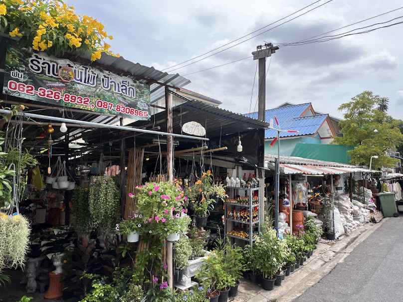 ร้านต้นไม้ป้าเล็ก - 2