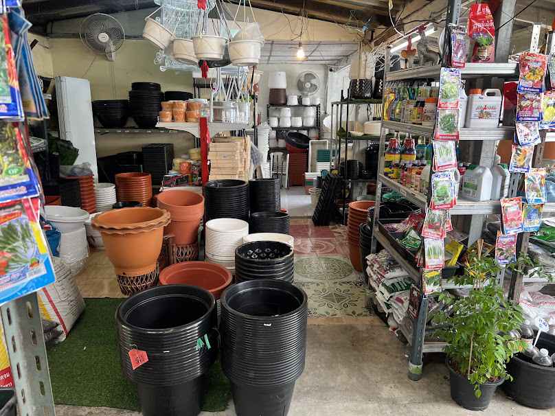 ร้านต้นไม้ป้าเล็ก - 3