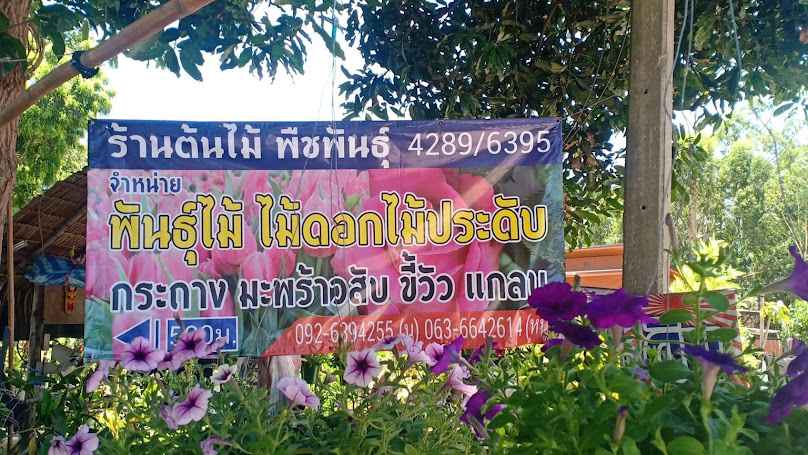 ร้านต้นไม้พืชพันธุ์4289/6389