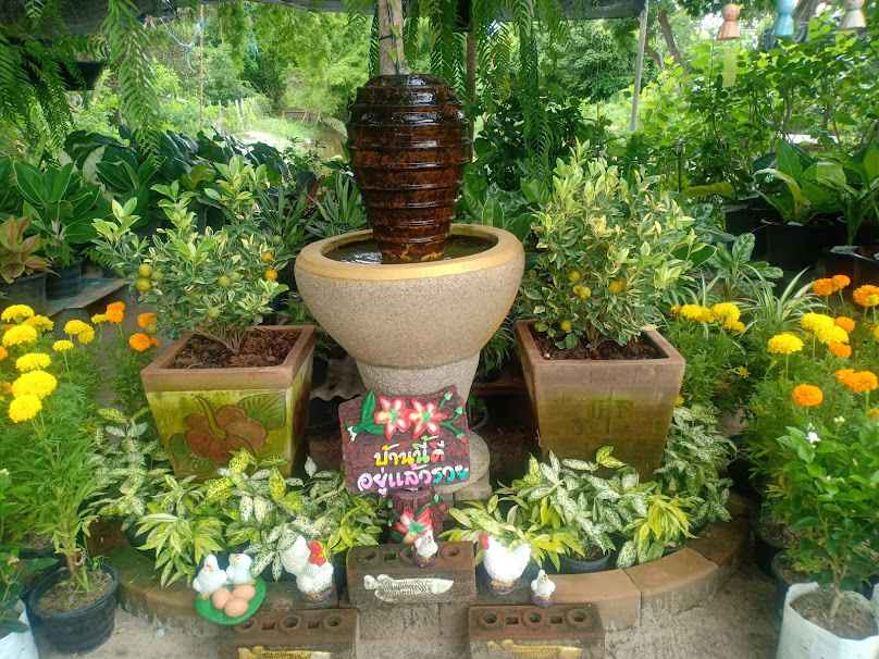 ร้านต้นไม้พืชพันธุ์4289/6389 - 2