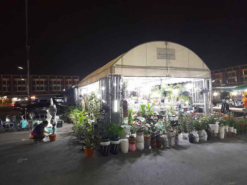 ร้านต้นไม้มงคล ไม้ฟอกอากาศ นุ บี - 3