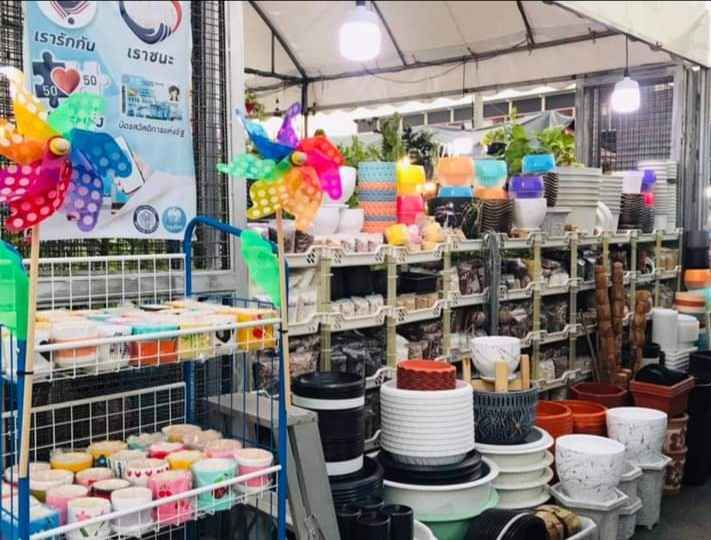 ร้านต้นไม้มงคล ไม้ฟอกอากาศ นุ บี - 4