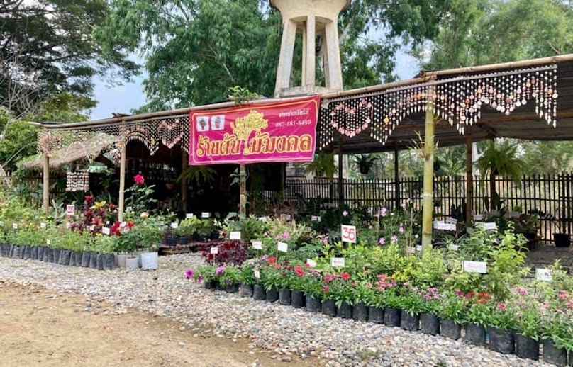 ร้านต้นไม้มงคล