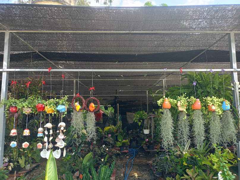 ร้านต้นไม้มงคล - 3