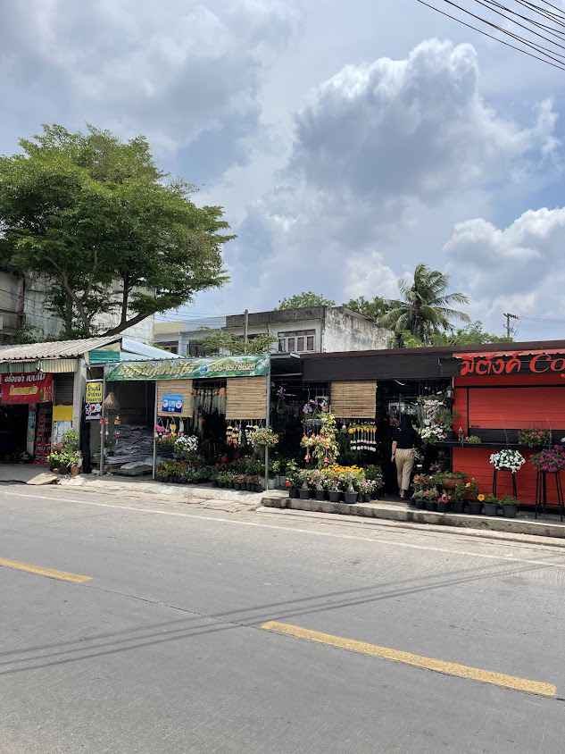ร้านต้นไม้มณฑาทิพย์ - 4