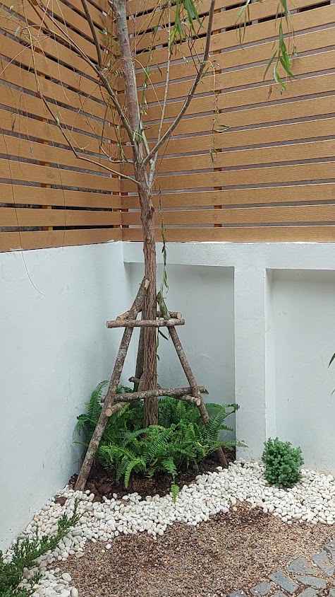 ร้านต้นไม้ยะลาบุหงาการ์เดนท์ - 3