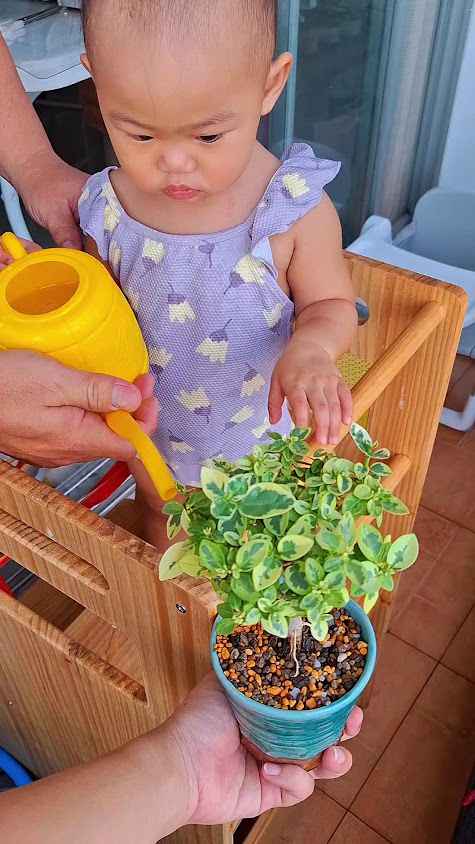 ร้านต้นไม้ลุงกับป้า(Plants shop) พระราม3 เจริญราษฎร์ - 3