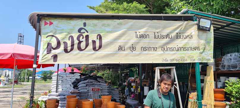 ร้านต้นไม้ลุงยิ่ง (ย้ายมาจากแมคโครแจ้งวัฒนะ-ตลาดมะลิ)