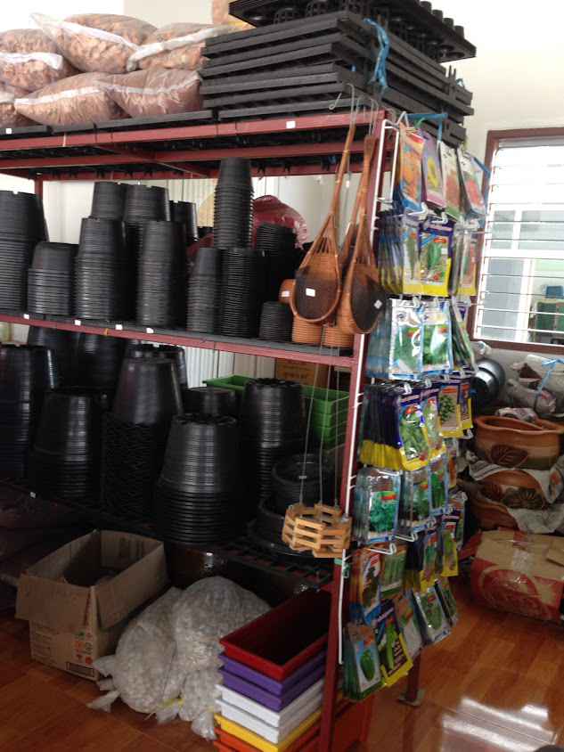 ร้านต้นไม้ลุงวิทย์ เเพรกษา Uncle's Garden - 4