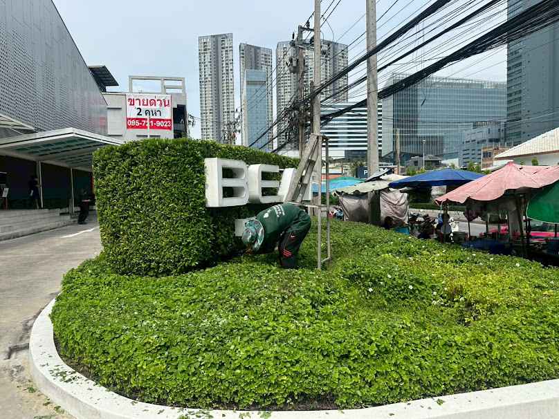 ร้านต้นไม้วรพันธ์ : Voraphan Green Garden - 4