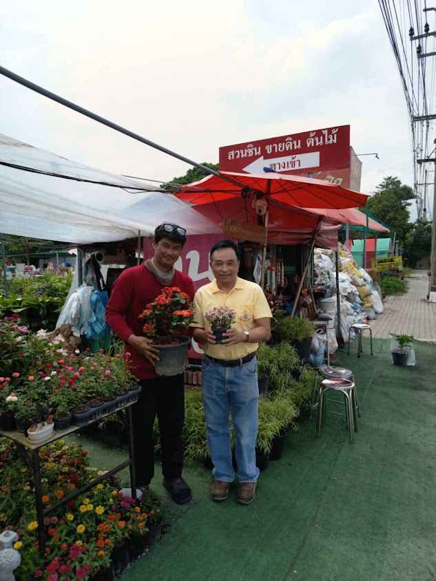 ร้านต้นไม้สวนชิน
