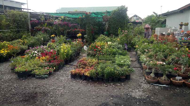 ร้านต้นไม้สวนชิน - 2