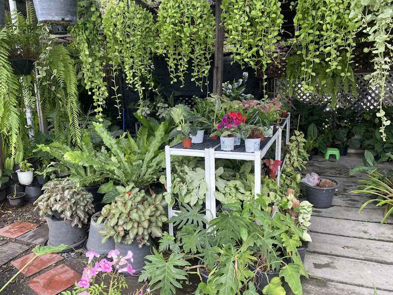 ร้านต้นไม้สวนน้องภีม
