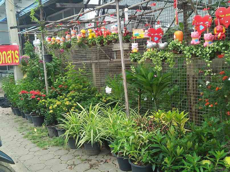 ร้านต้นไม้สวนพฤกษาชน​ 2 - 4