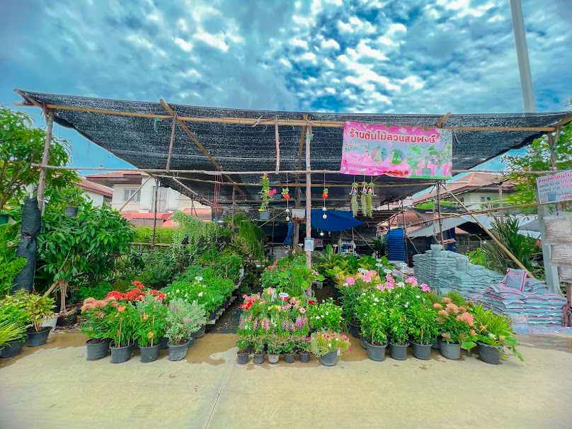 ร้านต้นไม้สวนสมพงษ์ตลาดแสงอารีย์