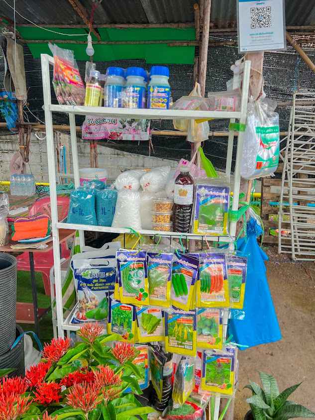 ร้านต้นไม้สวนสมพงษ์ตลาดแสงอารีย์ - 2