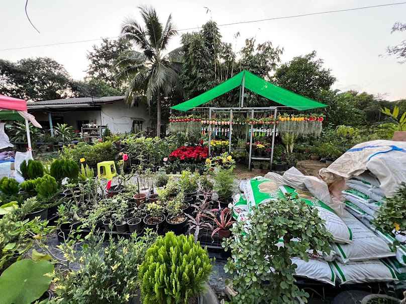 ร้านต้นไม้สวนสารวัตร - 4