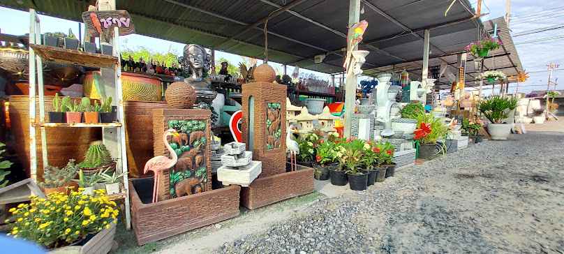 ร้านต้นไม้สวนหญ้ามารวย