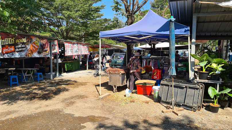 ร้านต้นไม้สันป่าตองเชียงใหม่ - 4