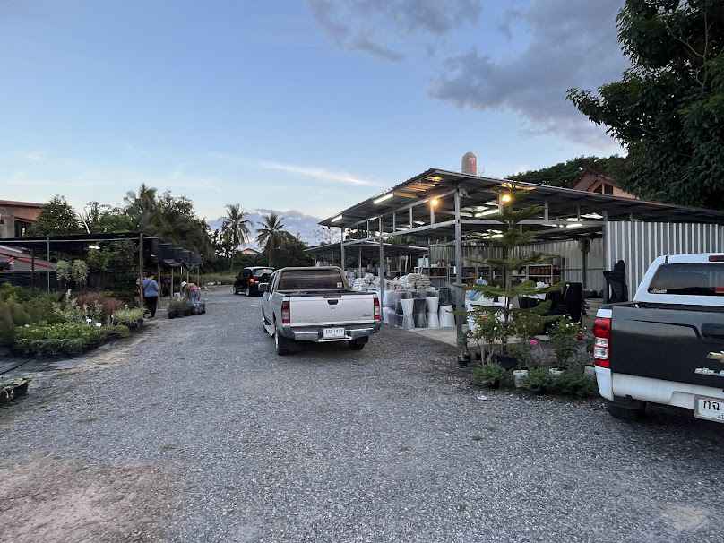 ร้านต้นไม้สามแยกเหมืองง่า - 4