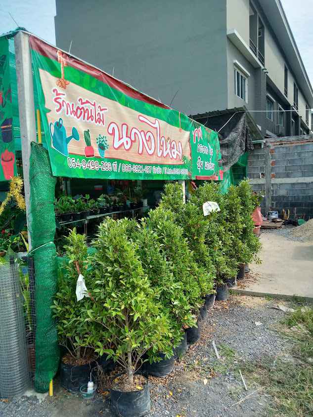 ร้านต้นไม้สายรุ้ง - 3