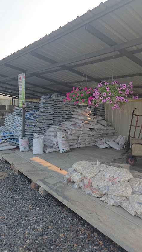 ร้านต้นไม้สิปราง Plant&Garden กิ่งแก้ว11/2 - 2
