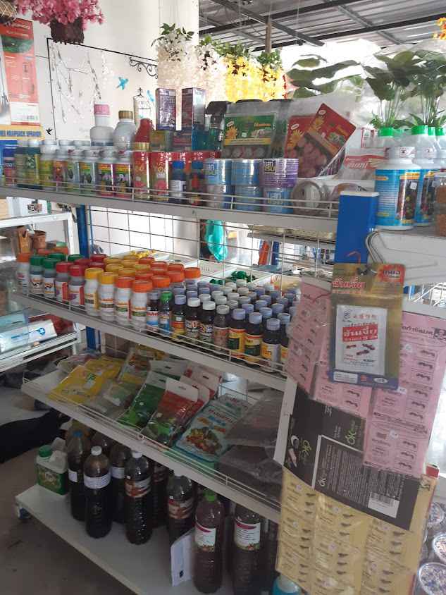 ร้านต้นไม้หลังวัดดอน - 2