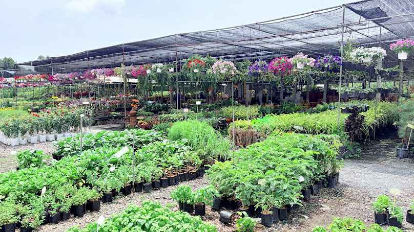 ร้านต้นไม้อร สาขา3 ตรงข้ามวัดโขดหิน