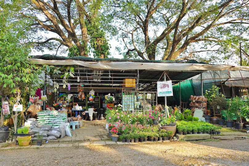 ร้านต้นไม้อ้อฟาร์ม (Garden​ Center)​ - 2