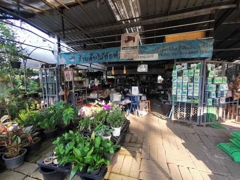 ร้านต้นไม้อ้อฟาร์ม (Garden​ Center)​ - 3
