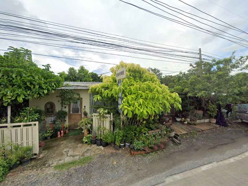 ร้านต้นไม้เจ๊จ๋า - 4