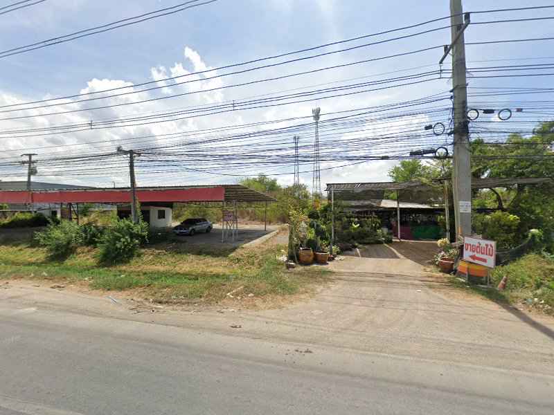 ร้านต้นไม้เจ๊สว่าง - 4