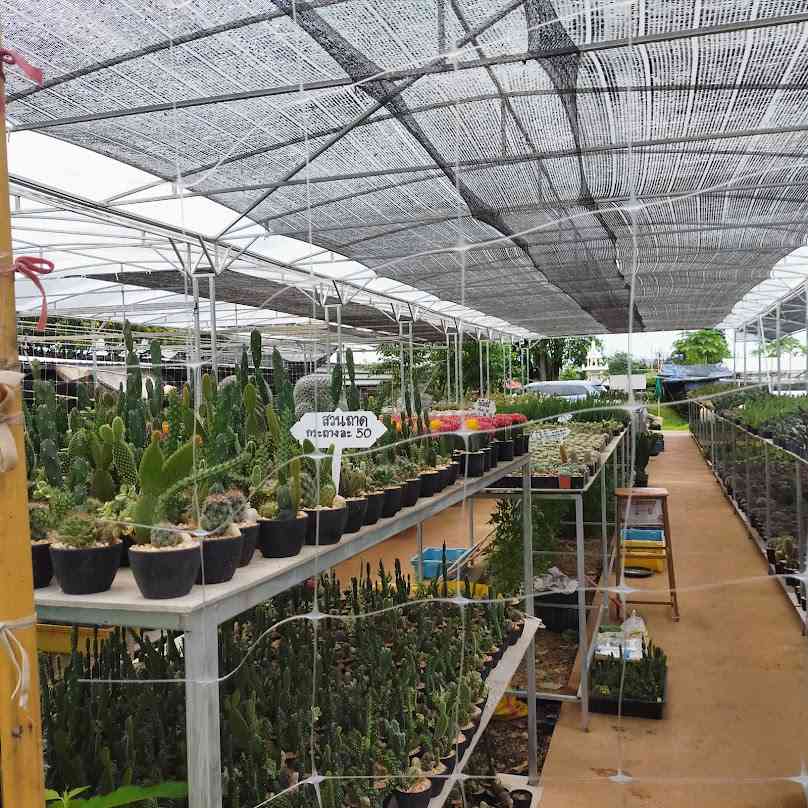 Agriculture